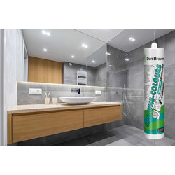 Mastic silicone neutre Zwaluw Colours+NS