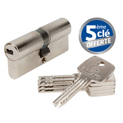 Bricard Cylindre double laiton nickelé Astral Bricard 35 x 35mm Dispo 48H 83599 de Toolstation
