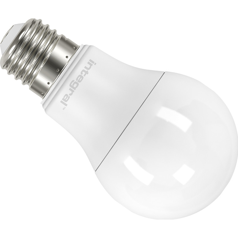Ampoule standard LED E27 Integral
